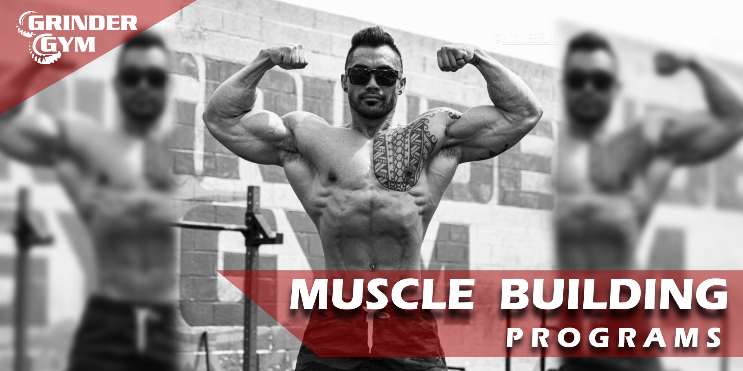 Muscle Building Transformation