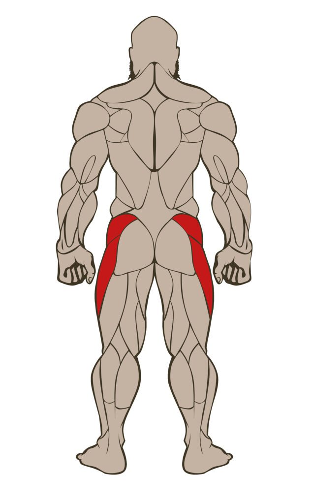 ABDUCTORS 636x1024
