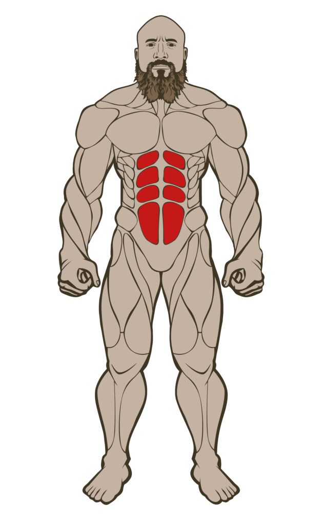 ABS 636x1024