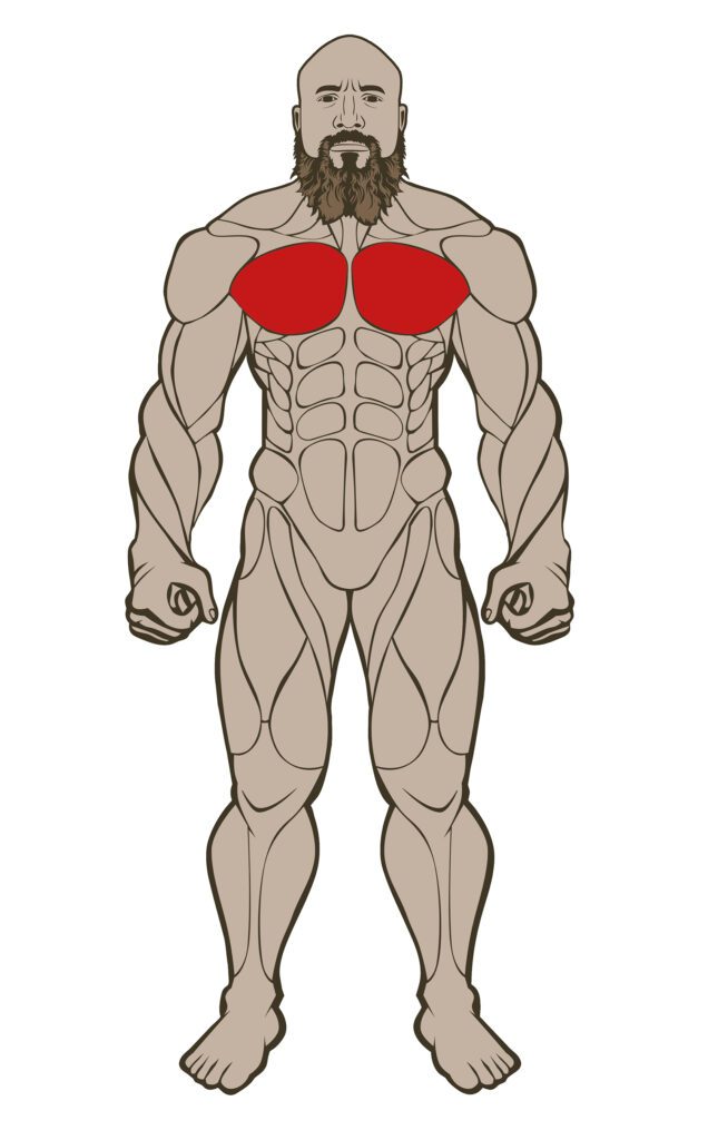 CHEST 636x1024