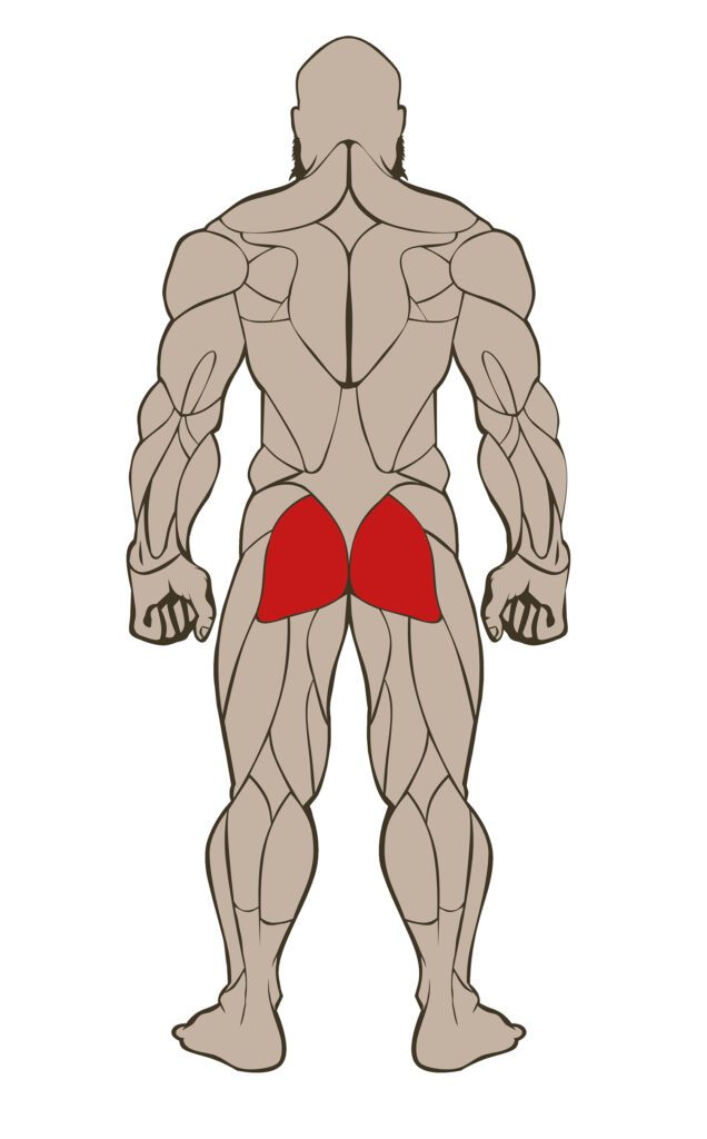 GLUTES 636x1024