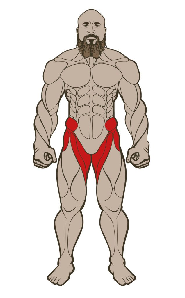 HIP FLEXORS 636x1024