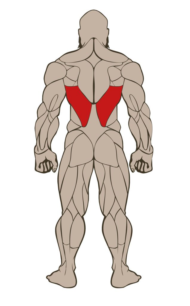 LATS 636x1024