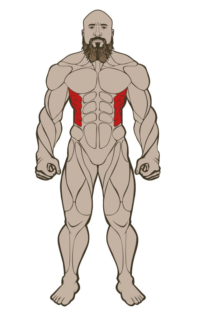 OBLIQUES 636x1024