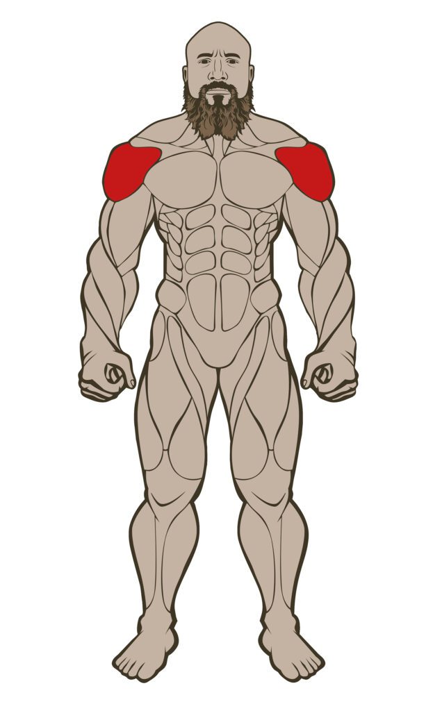 SHOULDERS 636x1024