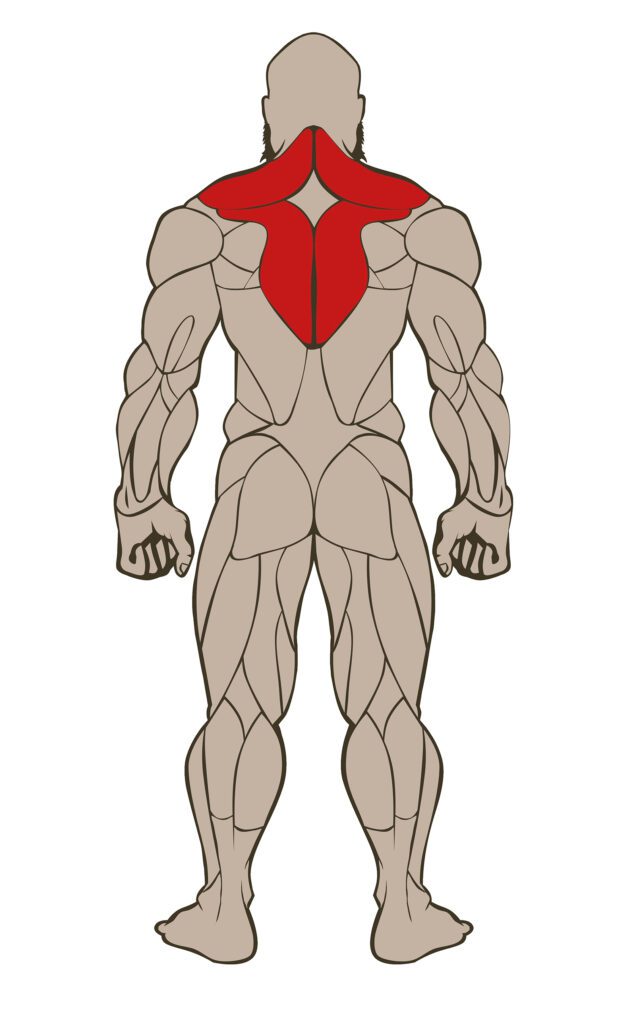 TRAPS 636x1024