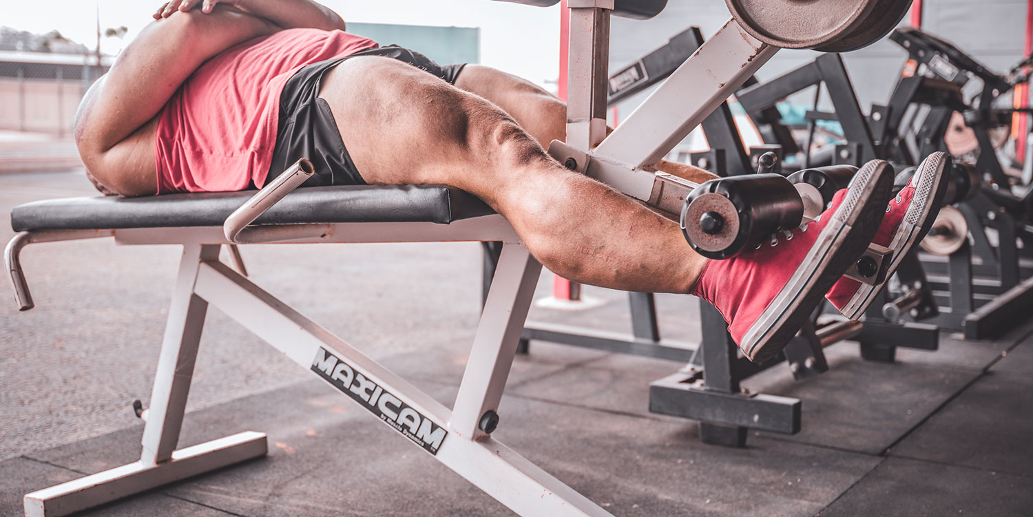 Embracing Novelty and Variation in Your Training Routine