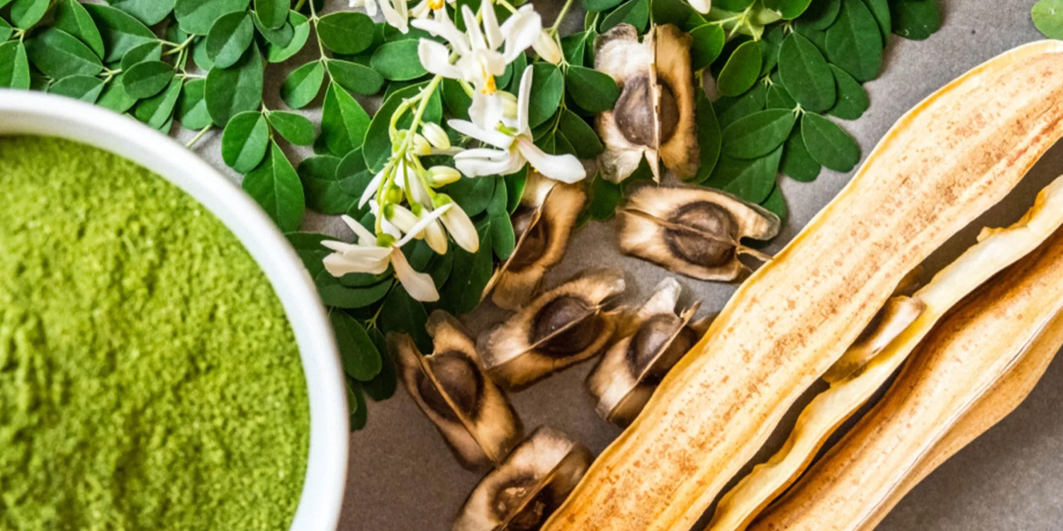 Moringa Powder: A Nutritional Powerhouse with Diverse Benefits