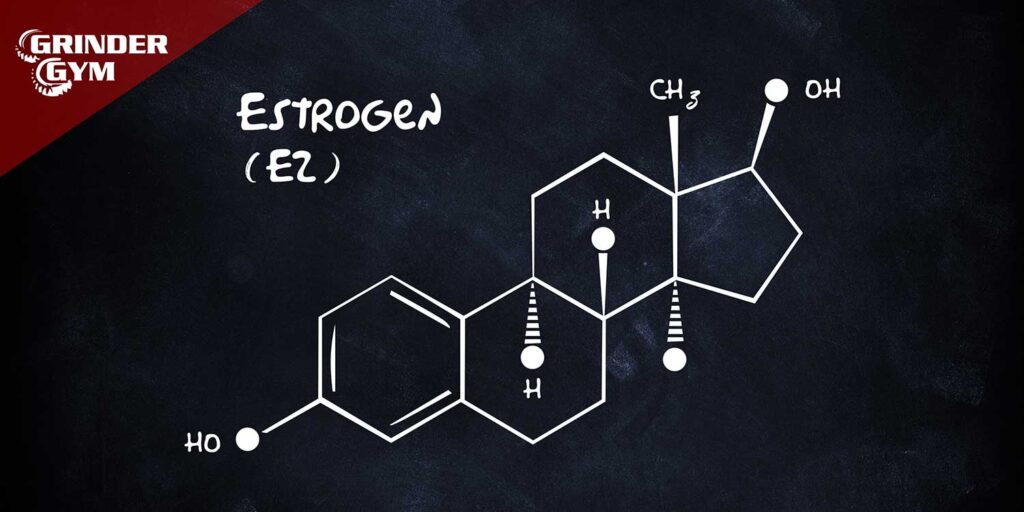 Estrogen