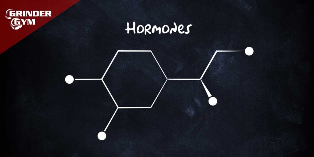 HORMONES 1500x750 1 1024x512