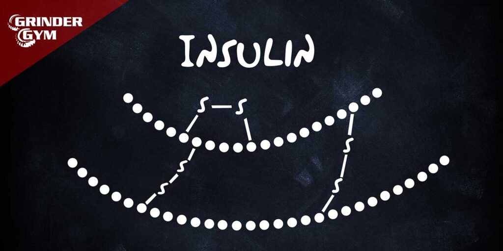 Insulin