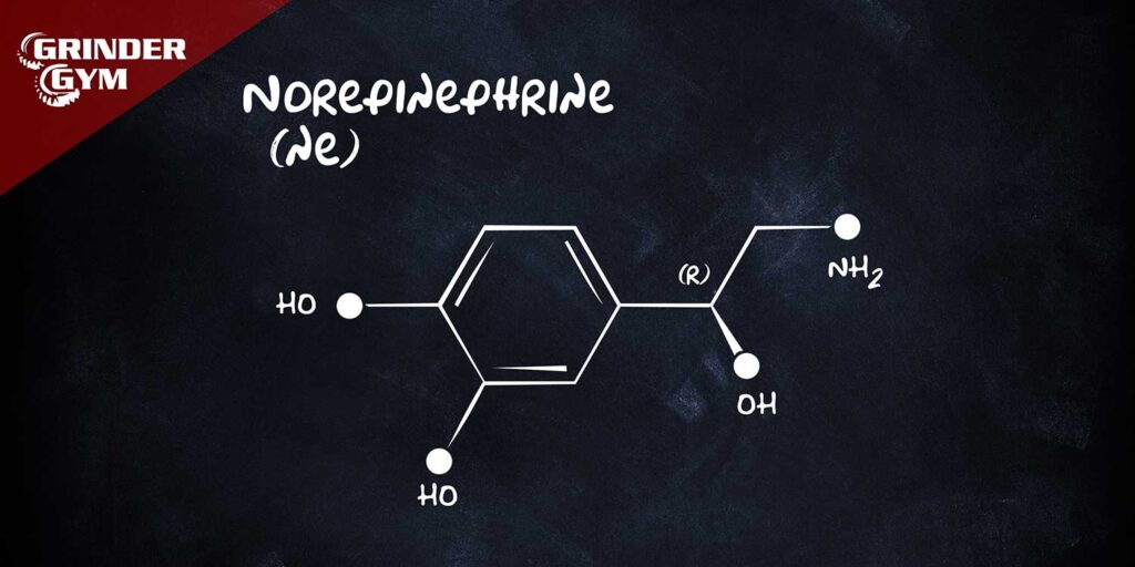 Norepinephrine