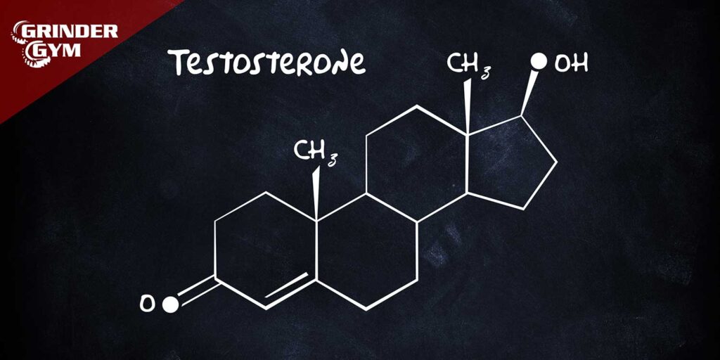 Testosterone
