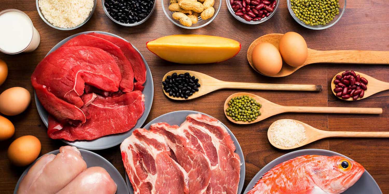 Maximizing Protein Synthesis