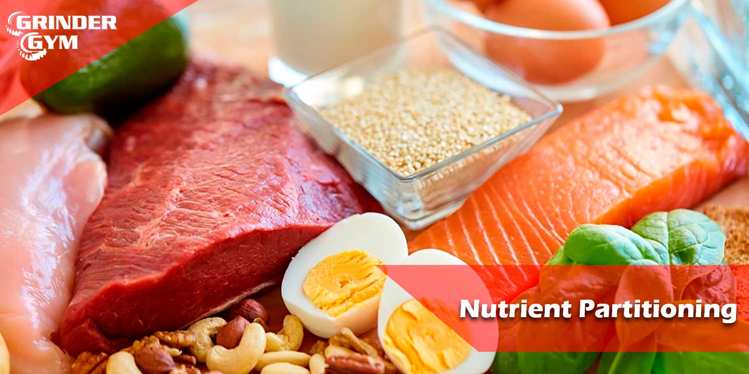 GG Article Nutrient Partitioning 1500x750 1