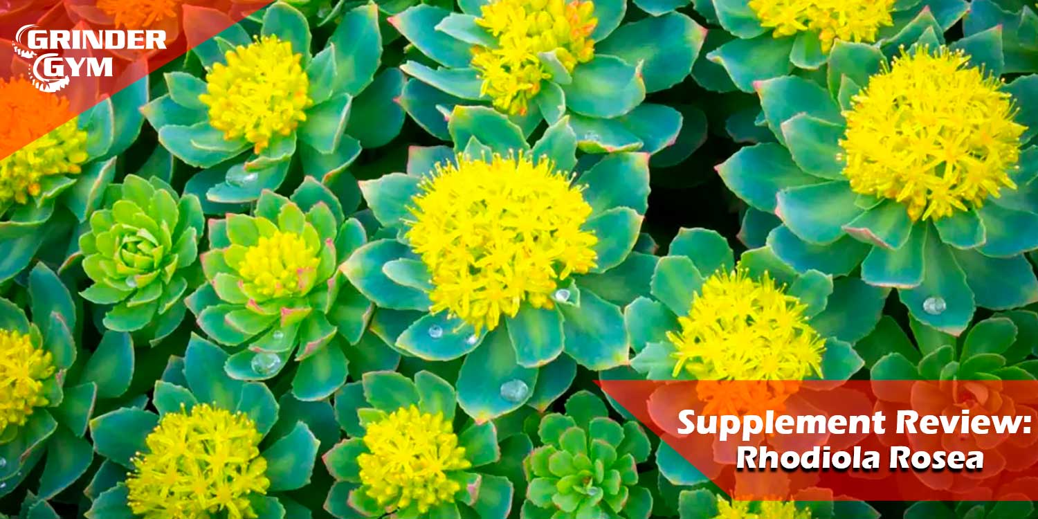 Supplement Review: Rhodiola Rosea