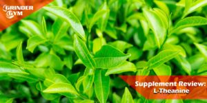 GG Article Supplement Review L Theanine 1500x750 1 300x150