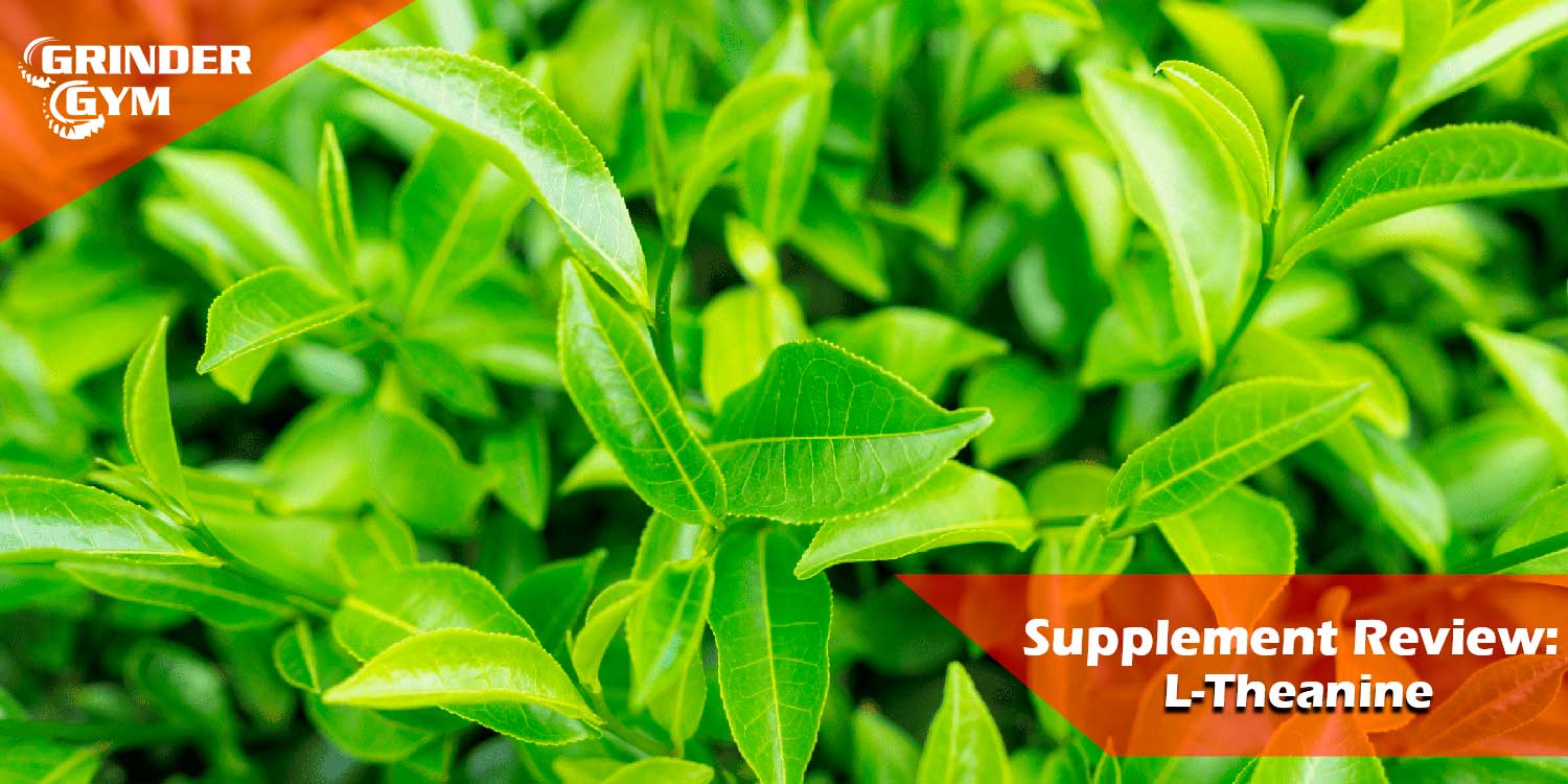 Supplement Review: L-Theanine