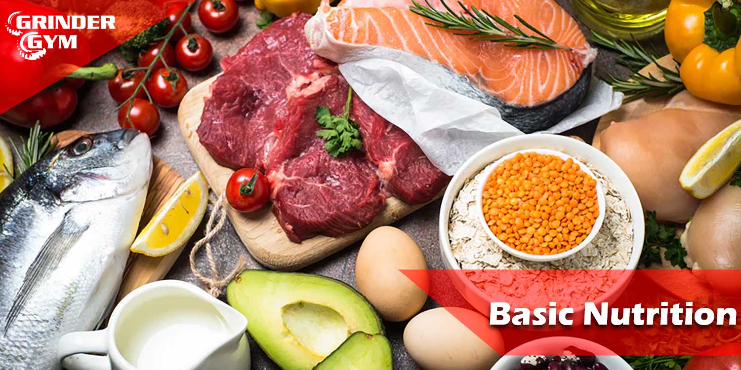 Muscle Building Nutrition