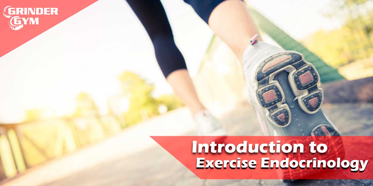 Introduction to Exercise Endocrinology