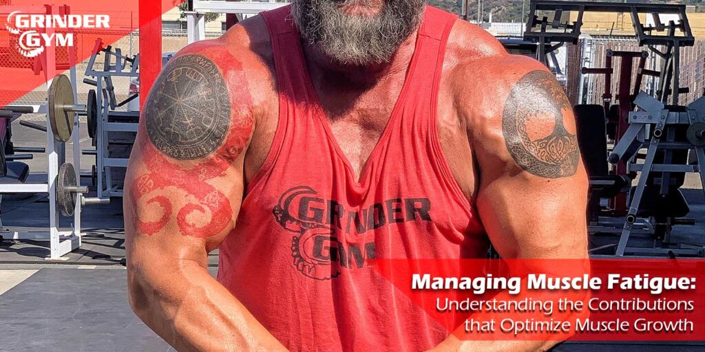 GG Articles Managing Muscle Fatigue Understanding The Contributions That Optimize Muscle Growth 1500x750 2 1024x512