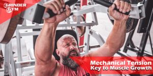 GG Article Mechanical Tension Key To Muscle Growth 1500x750 1 300x150