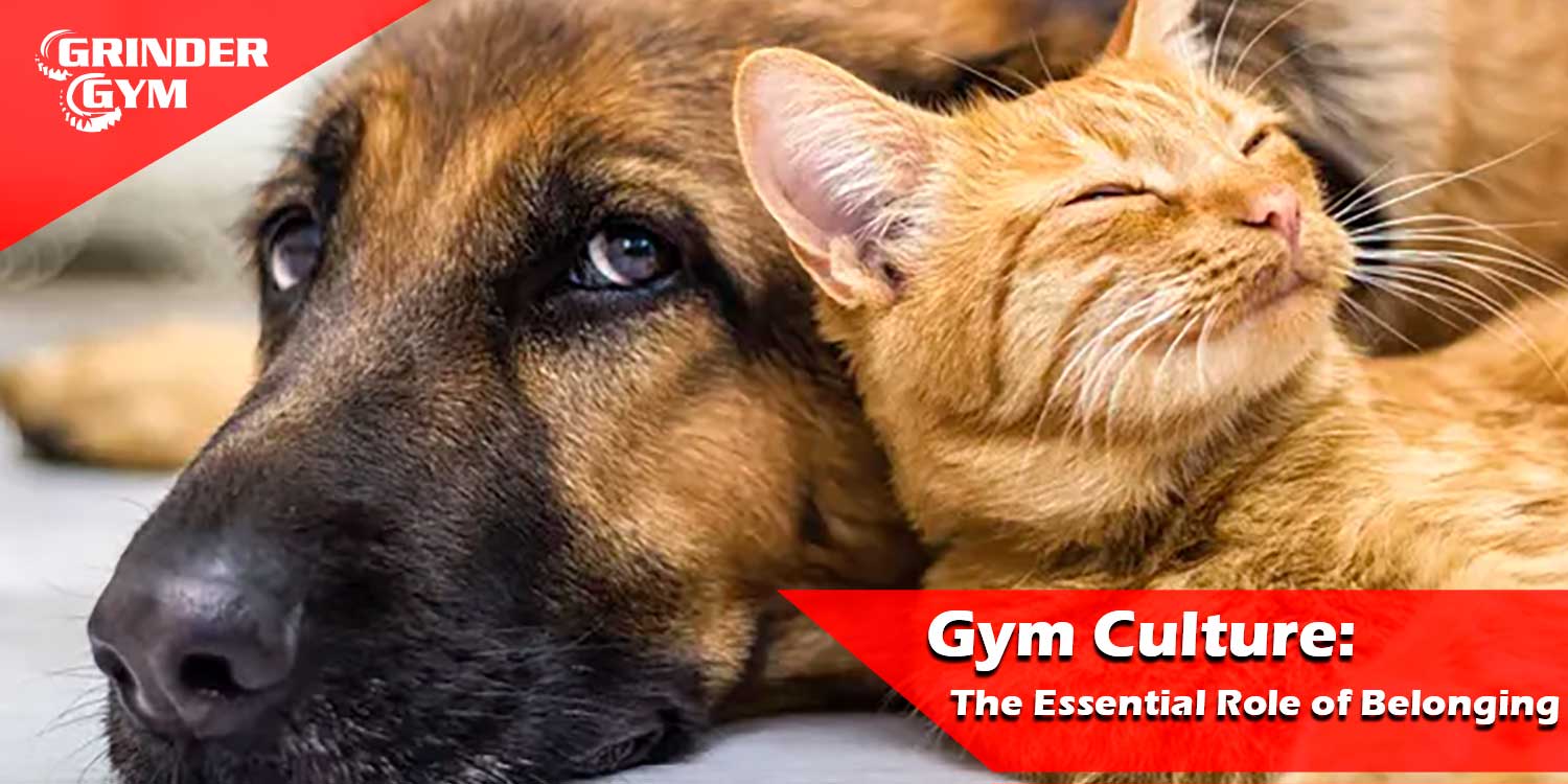 Gym Culture: The Essential Role of Belonging
