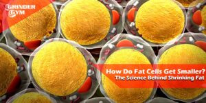 GG Article How Do Fat Cells Get Smaller The Science Behind Shrinking Fatt 1500x750 1 300x150