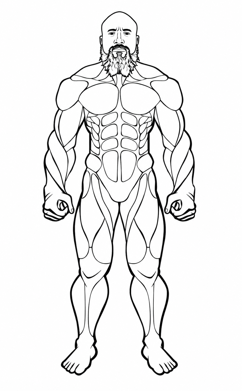 Front body muscle map